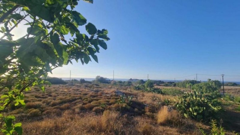 Stavros Kreta, Stavros: Land in Akrotiri mit Meerblick zu verkaufen Grundstück kaufen